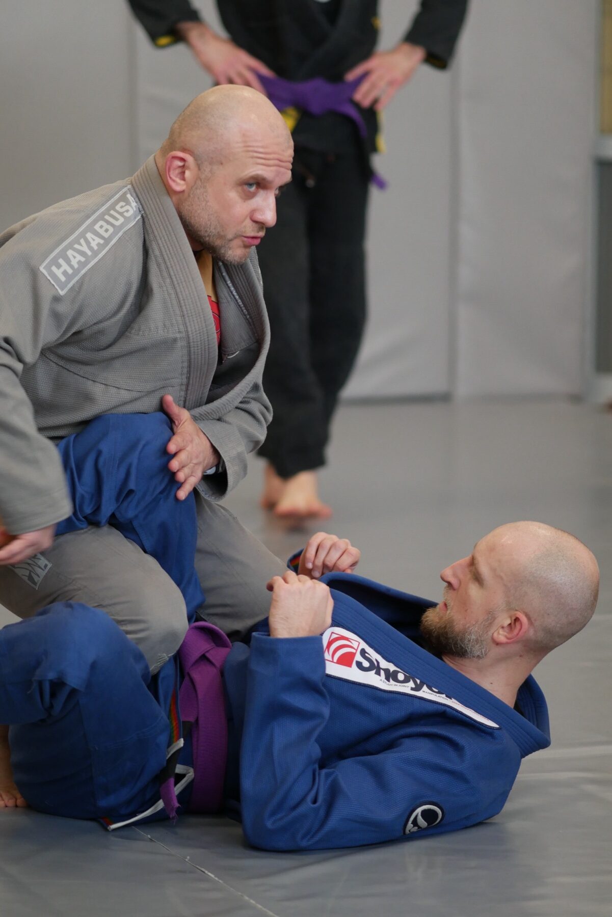 Stare Wilki Start – nowa grupa BJJ 40+ we Wrocławiu